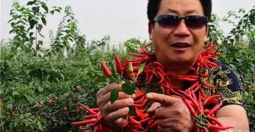 中国辣王被爆料视频大全,揭秘中国辣王被爆料视频大全 第2张 中国辣王被爆料视频大全,揭秘中国辣王被爆料视频大全 第2张